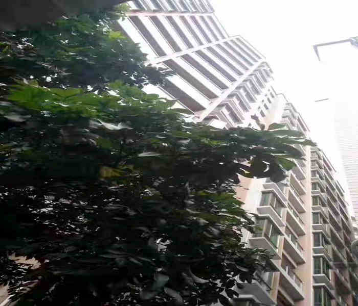 公明小產(chǎn)權(quán)房新樓盤(pán)：馬田大廈