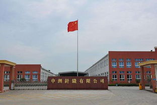 申洲國際半年業(yè)績增收10.8%，生產(chǎn)效率提升成關(guān)鍵驅(qū)動(dòng)力，運(yùn)動(dòng)類產(chǎn)品銷售額占67.9%